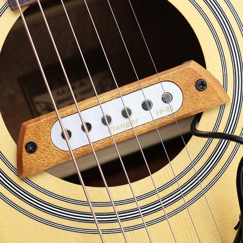 Acoustic Guitar Pickup