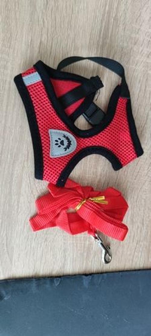 Adjustable Harness For Cat, Pet Chest Strap photo review