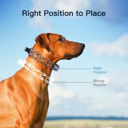 Adjustable Stainless Steel Prong Dog Collar with Rubber Tips for Training