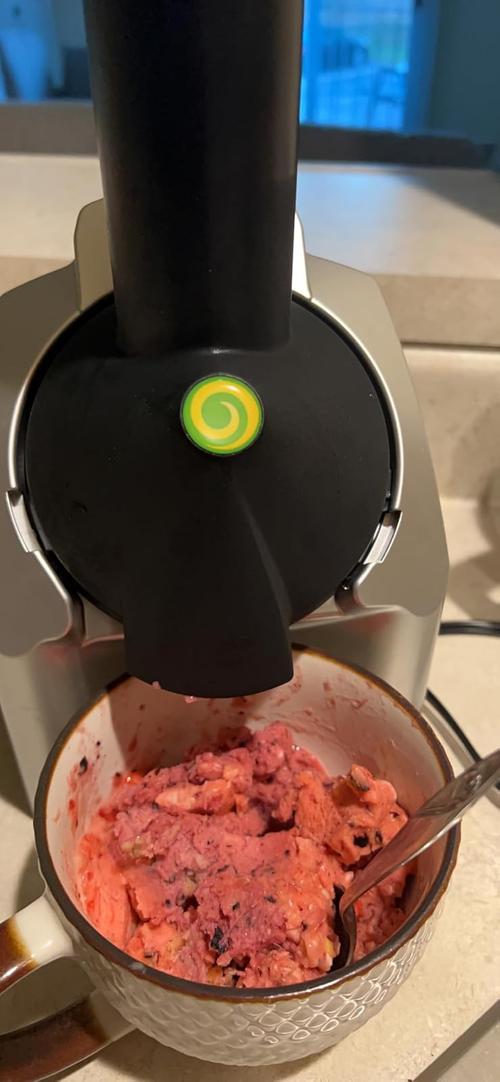 Automatic Fruit Ice Cream Maker photo review