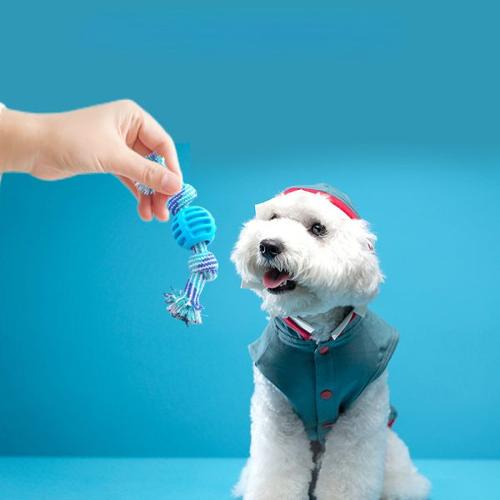 Bite-Resistant Cotton Rope Dog Toys for Small &amp; Large Dogs - Dog Accessories