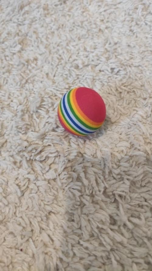 Colorful Interactive Cat Toy Ball with Natural Foam for Chewing and Scratching photo review