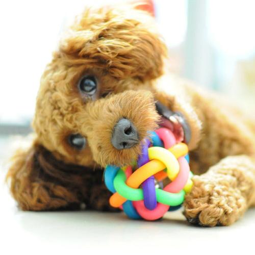 Colorful Rubber Dog Chew Toys with Bell for Puppy Training