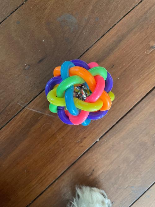 Colorful Rubber Dog Chew Toys with Bell for Puppy Training photo review