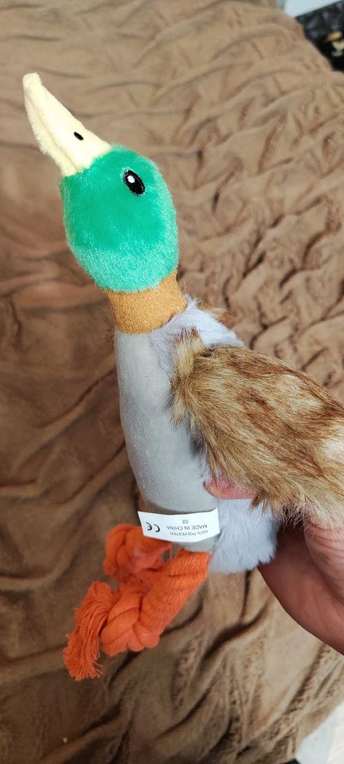 Cute Plush Duck Dog Chew Toy with Sound, Squeaky Animal Toy for Cleaning Teeth photo review