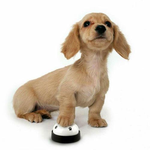 Dinner Bell Pet Training Toy for Dog Cat - Interactive Food Feed Reminder