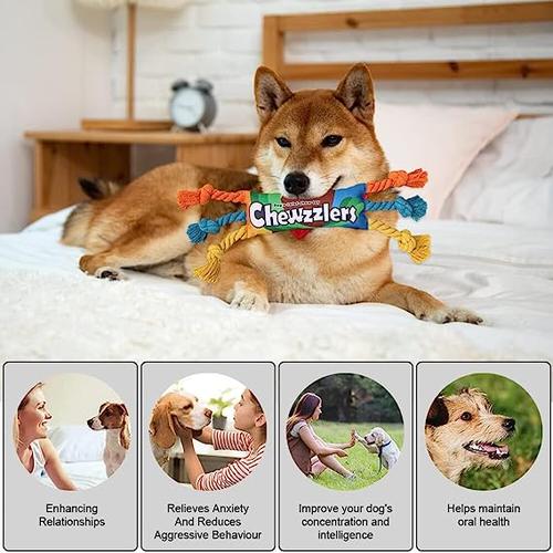 Dog Molar Training Decompressing Donkey Plush Toy - Bite Resistant, Interactive