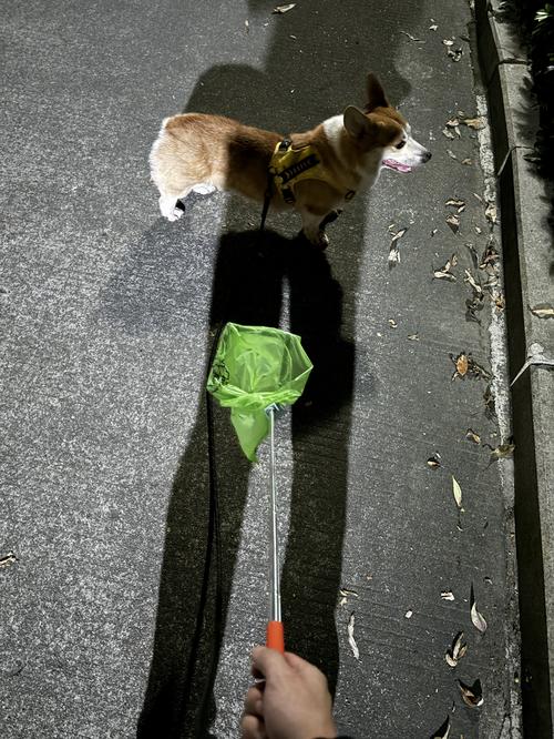 Dog Pooper Scooper, Poop Picker up for Dogs, Dog Pooper Scooper with Bag Attachment, Portable Foldable Dog Poop Catcher photo review