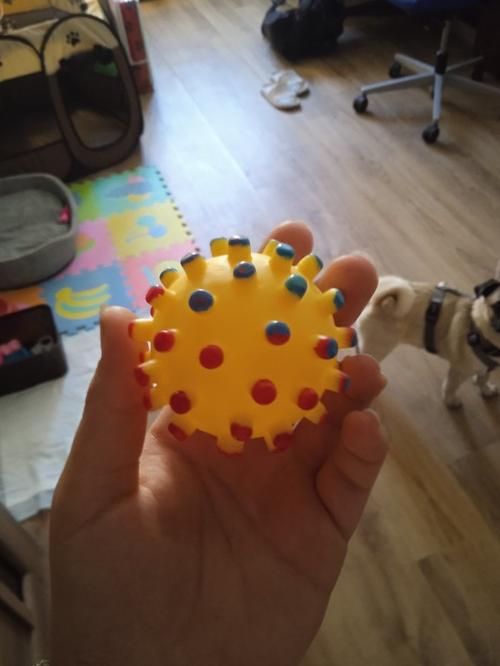 Durable Round Dog Ball Toy for Puppy Training with Squeaky Sound photo review