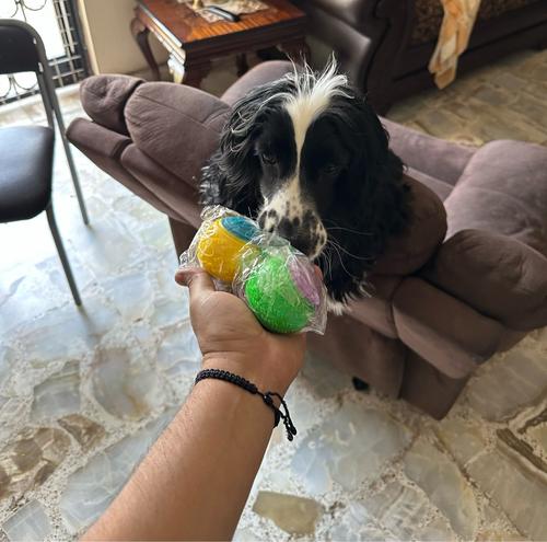 Durable Rubber Dog Squeaky Toys Balls for Puppy Training Bite Resistant photo review