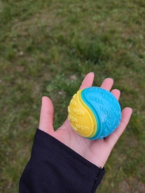 Balles grinçantes en caoutchouc durables de jouets de chien pour l'entraînement de chiot résistant aux morsures photo review