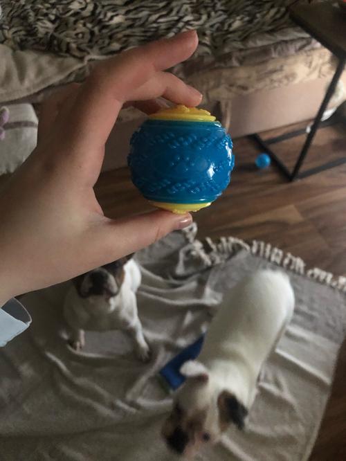 Durable Rubber Dog Squeaky Toys Balls for Puppy Training Bite Resistant photo review