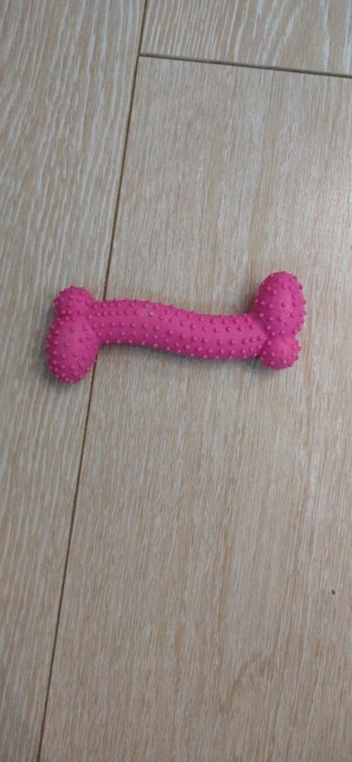 Durable Squeaky Dog Molar Toy for Small Medium Dogs Teeth Cleaning photo review