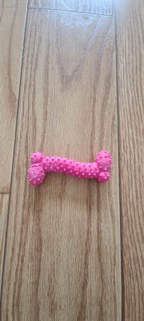 Durable Squeaky Dog Molar Toy for Small Medium Dogs Teeth Cleaning photo review