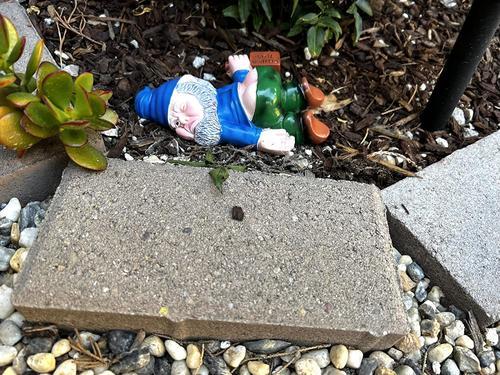 Funny Drunk Garden Creative Drunk Garden Decoration photo review