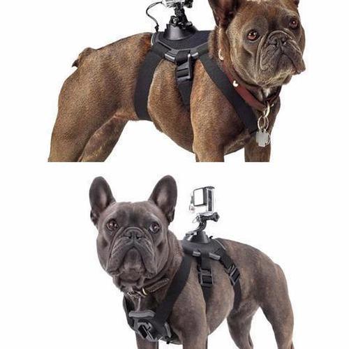 GoPro Hero Dog Strap Belt Harness, Sports Camera Pet Photography And Dog Sling