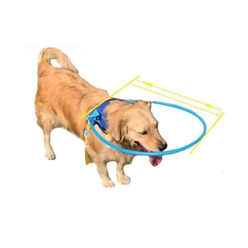 Halo Harness for Blind Dogs with Cataract - Anti-Collision Protection