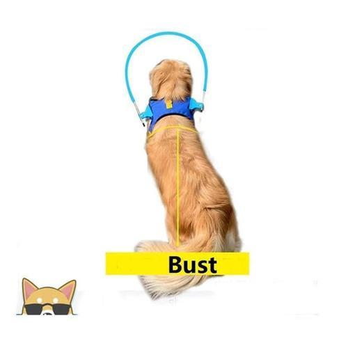 Halo Harness for Blind Dogs with Cataract - Anti-Collision Protection