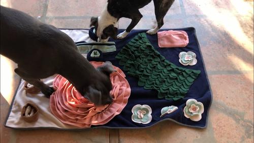 Interactive Dog Feed Mat with Non-Slip Bottom Pad for Natural Foraging Skills photo review