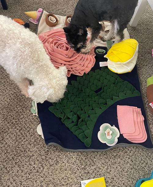 Interactive Dog Feed Mat with Non-Slip Bottom Pad for Natural Foraging Skills photo review