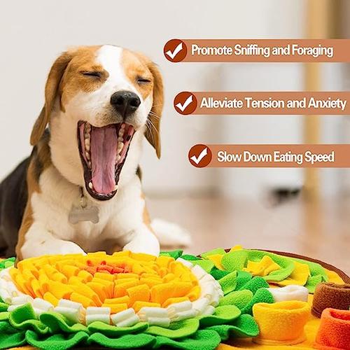 Interactive Dog Mat for Training, Stress Relief, and Slow Feeding