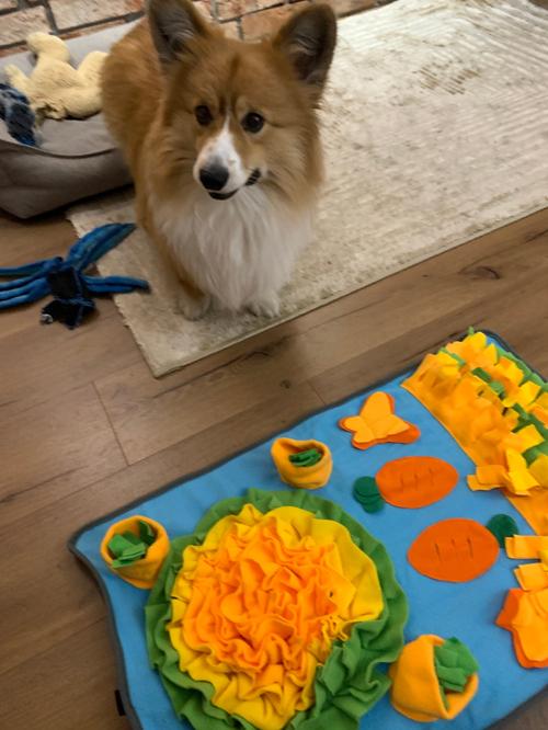 Interactive Dog Mat for Training, Stress Relief, and Slow Feeding photo review