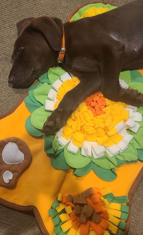 Interactive Dog Mat for Training, Stress Relief, and Slow Feeding photo review