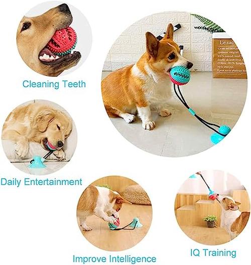 Interactive Suction Double Dog Toys for Molar Bite &amp; Chewing