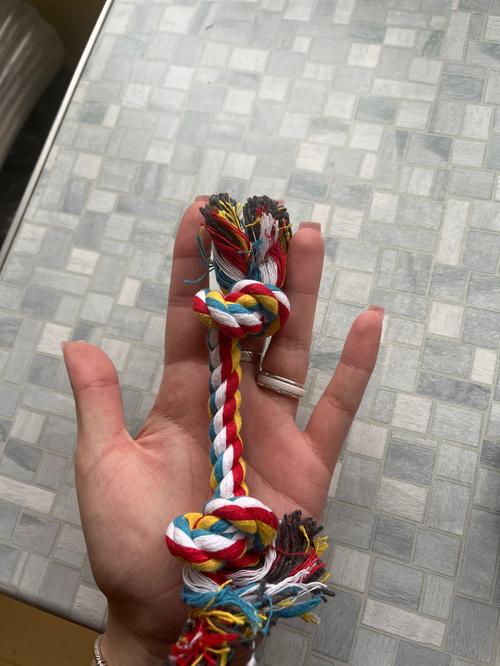 Large Dog Molar Bite-Resistant Cotton Rope Knot Chew Toy for Teeth Cleaning photo review