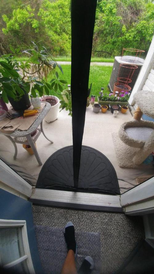 Magnetic Mesh Insect Screen Door - Your Ultimate Guard To Insects This Summer! photo review