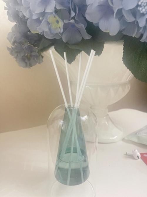 Modern Double Glass Vase for Home Decor, Wedding, and Hydroponic Plant photo review