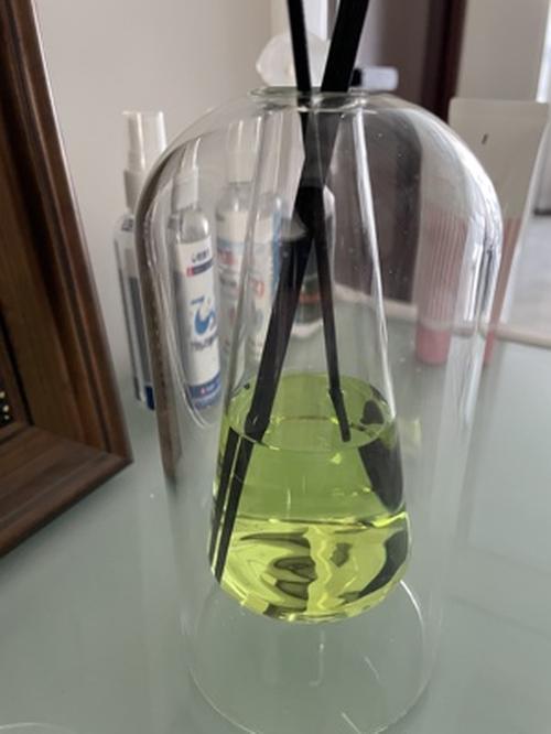 Modern Double Glass Vase for Home Decor, Wedding, and Hydroponic Plant photo review