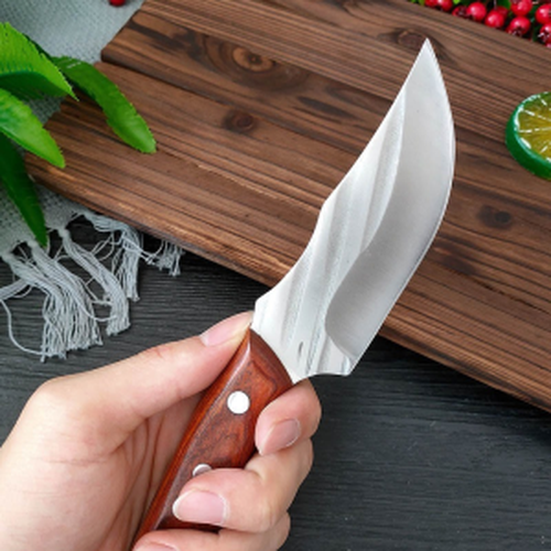 Multi-purpose Kitchen Knife for Fruit, Meat, and Other Cutting Needs