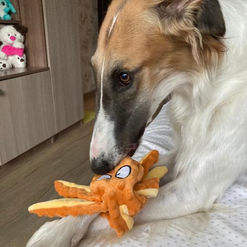 Octopus Plush Dog Toys for Teething - Soft, Durable, Interactive Chew Toys photo review