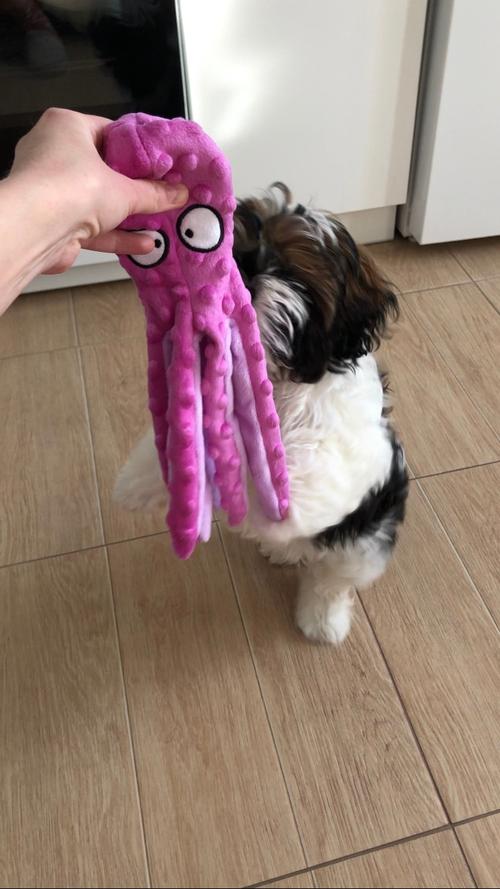 Octopus Plush Dog Toys for Teething - Soft, Durable, Interactive Chew Toys photo review