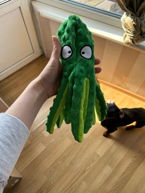 Octopus Plush Dog Toys for Teething - Soft, Durable, Interactive Chew Toys photo review