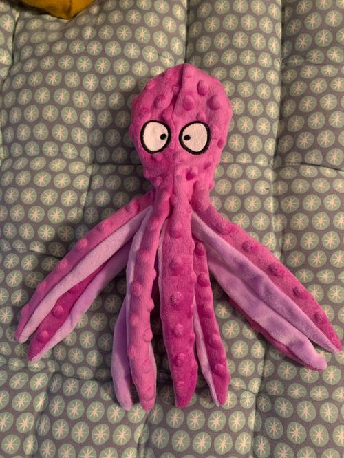 Octopus Plush Dog Toys for Teething - Soft, Durable, Interactive Chew Toys photo review