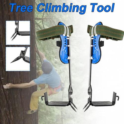 Premium Tree Climbing Spur Spikes, Tree Climbing Special Tools