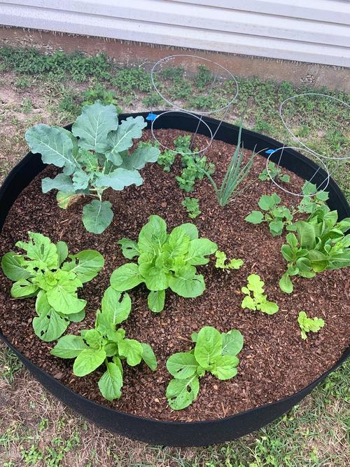 Raised Planting Bed For Gardening photo review