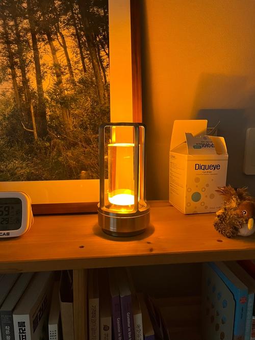 Rechargeable Metal LED Cordless Table Lamp with Touch Dimming for Restaurant Bedroom Home Outdoor Decor photo review