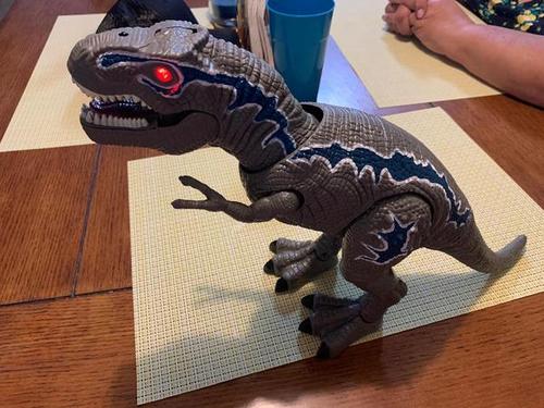 Remote Control Dinosaur Toys, Light Up & Realistic Roaring Sound, T Rex Dinosaur Toys, Electronic Walking Dinosaur Toys, Dinosaur Robot Toy photo review