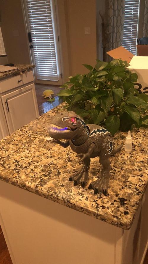 Remote Control Dinosaur Toys, Light Up & Realistic Roaring Sound, T Rex Dinosaur Toys, Electronic Walking Dinosaur Toys, Dinosaur Robot Toy photo review