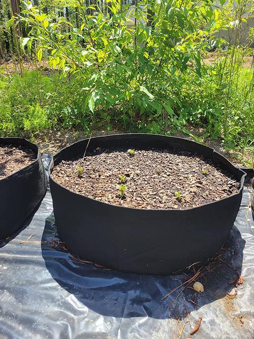 Round Planting Container Grow Bag Raised Garden Bed photo review