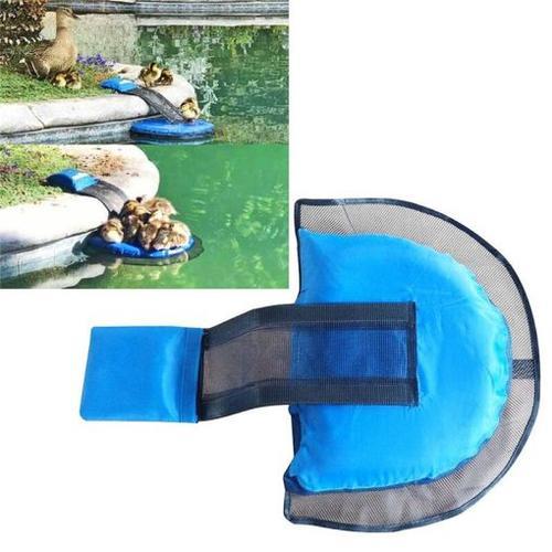 Safe Escape Ramp for Frogs and Small Animals in Swimming Pool