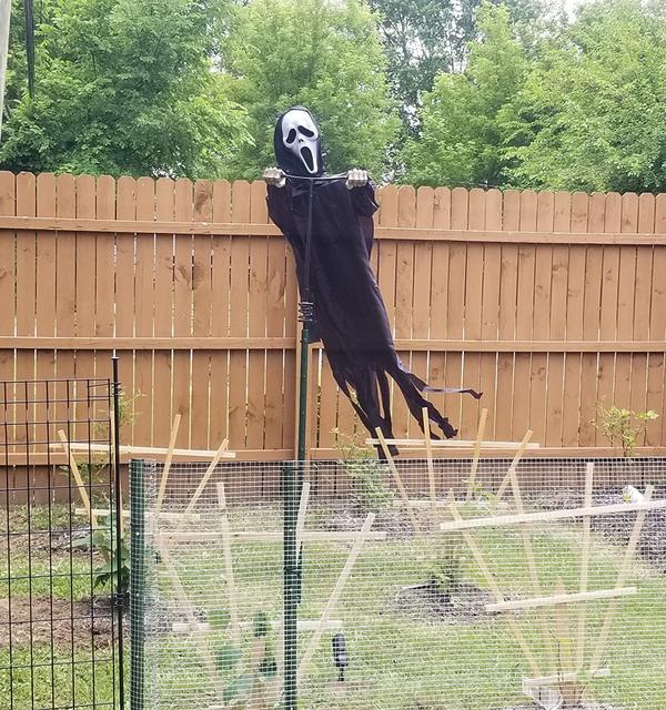 Scarecrow Screaming Ghost Halloween Scary Ghost Of Death Ghost Flying Halloween Decoration photo review