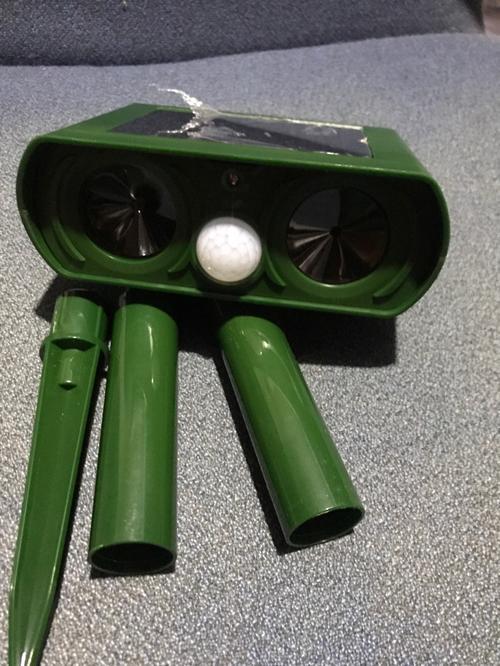 Solar Bird Repeller - Ultrasonic Outdoor Garden Deterrent photo review