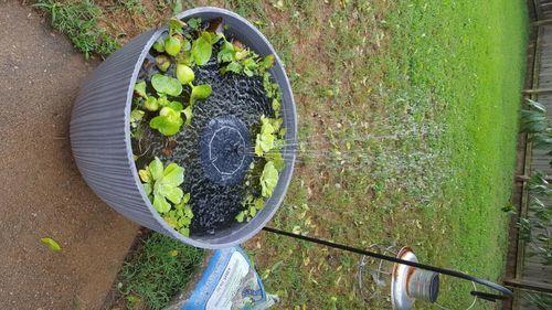 Solar-Powered Bird Fountain Kit, Outdoor Beautification Solar Fountain Pump photo review