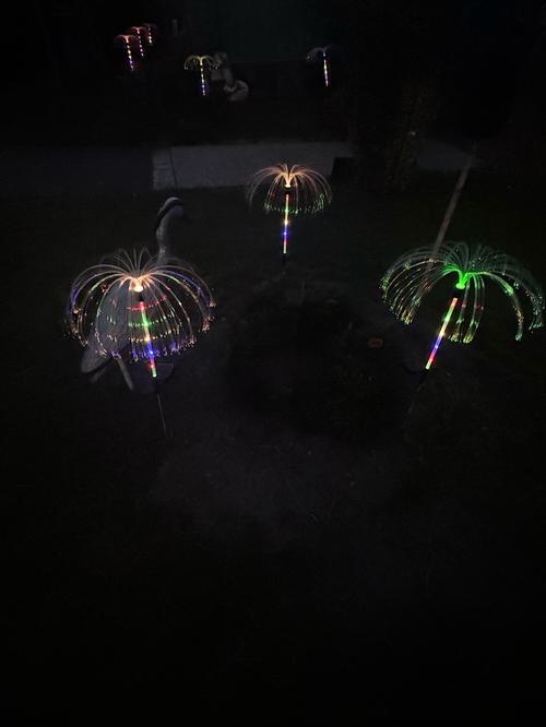 Solar Powered Jellyfish Lights photo review