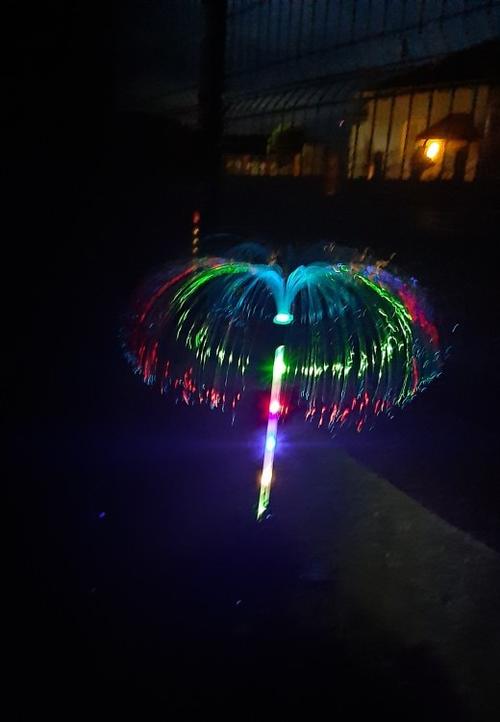 Solar Powered Jellyfish Lights photo review