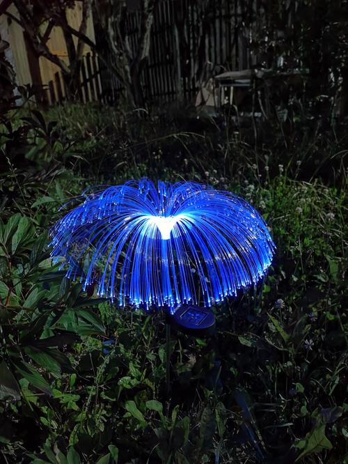 Solar Powered Jellyfish Lights photo review